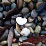 chemin de vie novembre