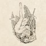 To Behead One's Desire