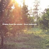 Girl With the Silver Eyes