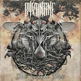 New Ways to Bear Witness