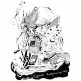 Privately Owned Spiral Galaxy