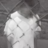 Flowers (Under All My Shadows) (acoustic)