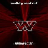 "Somthing Wonderful"