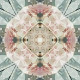 The Beautiful Mistake Called Life