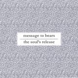 Running Through Woodland