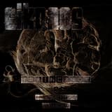 Would You Vote for Someone with a Face Like Yours?