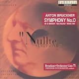 Symphonie d-Moll "Nullte": I. Allegro