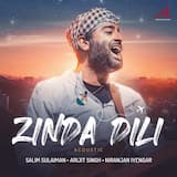 Zinda Dili (acoustic)