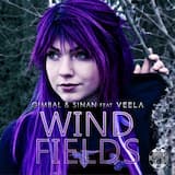 Windfields (original mix edit)