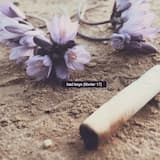 Bad Boys (Février 17)