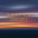 Last Bee on Earth -The Monk by the Sea