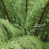 a place where sunflowers grow