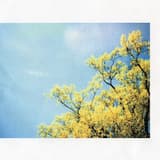 'Sitting in a Diner'