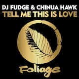 Tell Me This Is Love (vocal mix)
