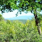 Provence (improvised – no intro)