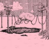 yes! yes! a thousand times yes!