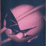 Nayward of Python's Silence