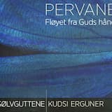 Pervane / Sommerflugl