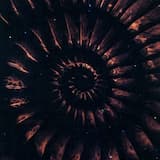 Всичко е наред