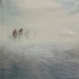 Uitiantur Odoribus Aurae