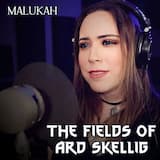 The Fields of Ard Skellig