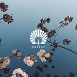 Caprice (extended mix)