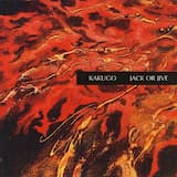 憂國2008 - Worry About the Country -