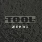 Ænema (P.M. Version)