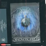 Magnetic Field