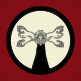 Where Did You Sleep Last Night in the Pines