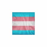 Ach, zu schnell erlosch'ner Freudenschein