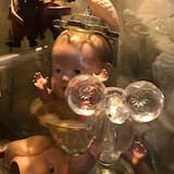 La Bar Mitzvah du chien