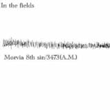 In the fields(maximal 15 Hz mix cut over 9min)