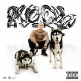 Ich feier den scheiss