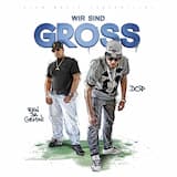 Wir sind Gross (remix)