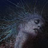 In the Absence of Light