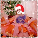 It Won’t Be Christmas (’till You’re Here)