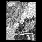 Insomniac Collective