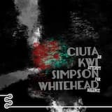 Vibrating Air: Wood / Metal / Water / Stone