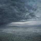 Phoenix | Hiphop Music