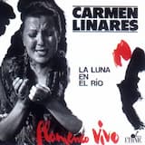 El sol, la rosa y el niño (bulerías)