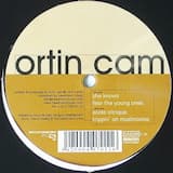 Trippin' on Mushrooms