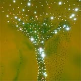 Don't You Wanna Be Ready?