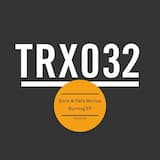 System (original mix)