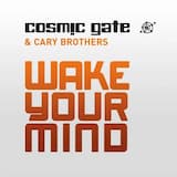 Wake Your Mind (extended mix)