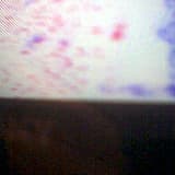 Dégradaction improvisoire