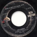 When a Boy Falls in Love