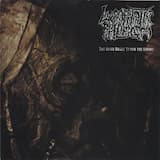 Disseminated Lupus Erythematosus (Collagenosis)