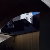 Molecules That Gather in the Horn