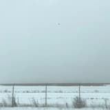 Blanket Season pt. I